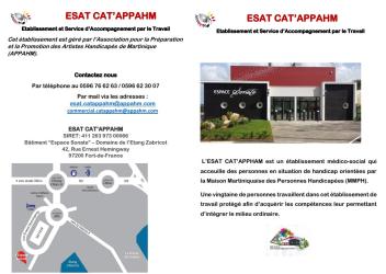 L'ESAT CAT'APPHAM A LA MMPH LE 16 OCTOBRE 2025